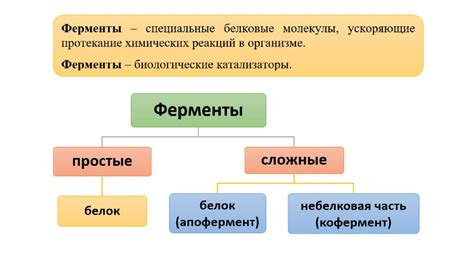 Роль ферментов