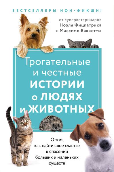 Романтическая и символическая глубина сна о спасении маленьких кошек