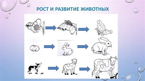 Рост и развитие отношений со временем