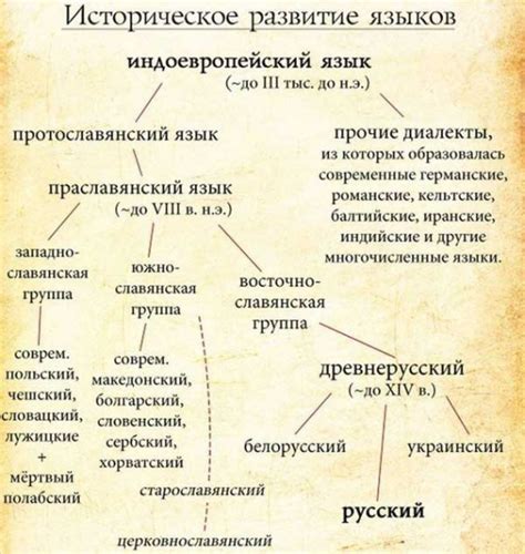 Русский язык: история и современность