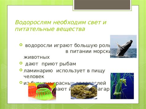 Рыбам необходимо получать питательные вещества из своей природной среды