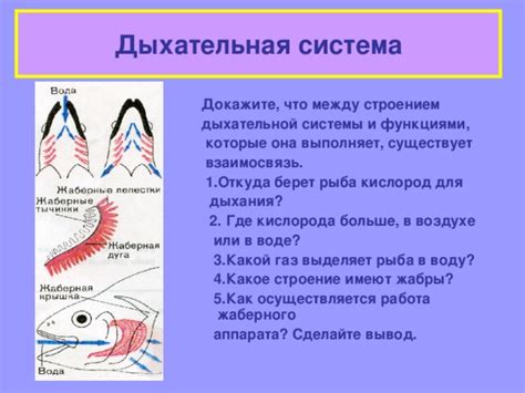 Рыба в снах: взаимосвязь с эмоциональным и физическим состоянием