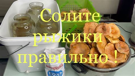 Рыжики после засолки горячим способом: особенности хранения