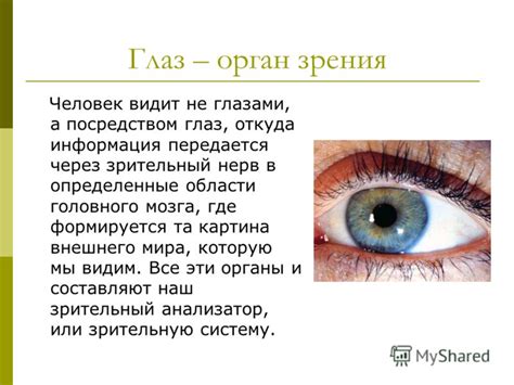 Сакральное превращение: понимание символики снов, где зрительный орган превращается в тлеющее вещество