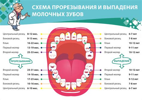 Сакральный смысл выпадения зубов в миражах снов