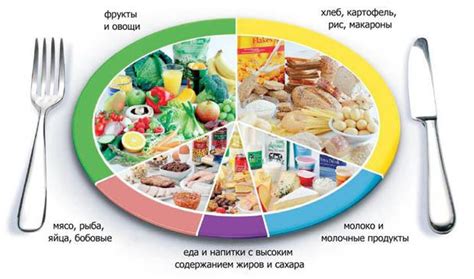 Сбалансированный режим питания после неедения