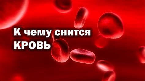 Свежая кровь и ее визуализация во сне: символика и толкование