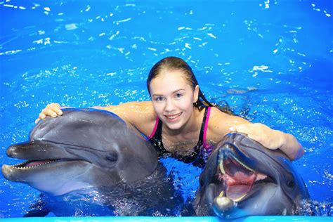 Свидание с дельфином в холодной воде