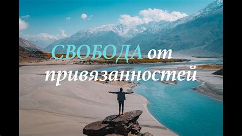 Свобода от привязанностей: смысл беспроводной мышки по сновидениям