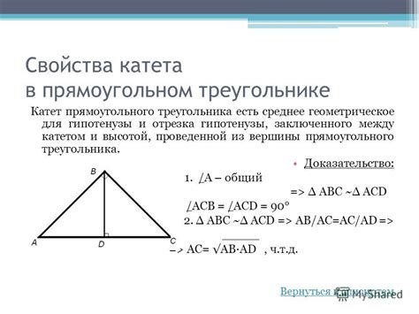 Свойства катета