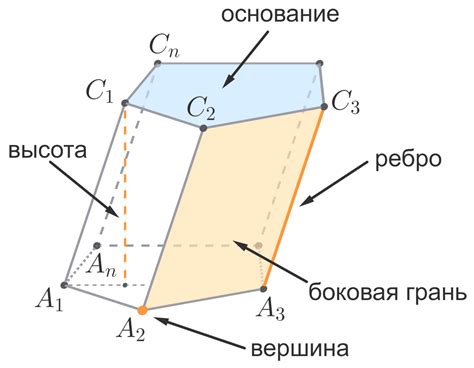 Свойства ребра в геометрии