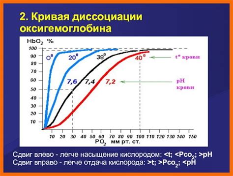 Связь задержки дыхания с здоровьем