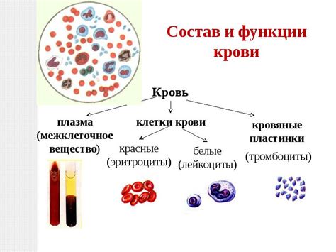 Связь клинического кровотечения после свечей с нарушениями крови