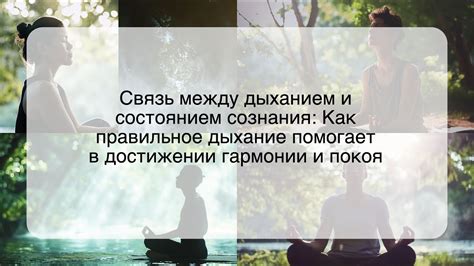 Связь между сновидением и состоянием волос: учение о внутренней гармонии