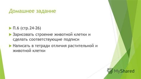 Связь сна о маленькой животной на руках и внутренним чувством материнства