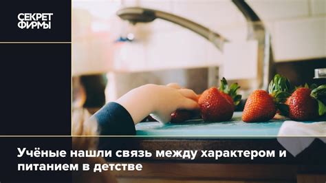 Связь снов с ягодами и питанием в раннем детстве