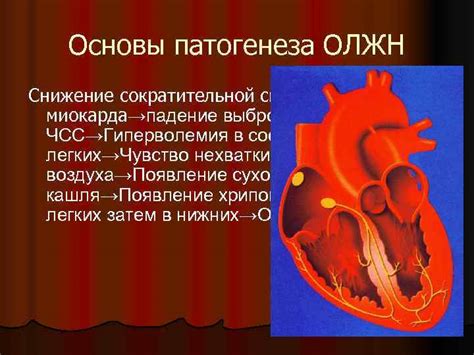 Связь сократительной способности миокарда с сердечными заболеваниями