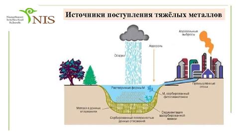 Связь с подсознательными ощущениями загрязнения