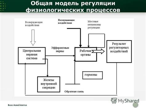 Связь физиологических процессов с восприятием сновидений