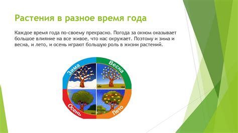 Сезонные изменения снов: сажание растений в почву женщиной во время осеннего сна