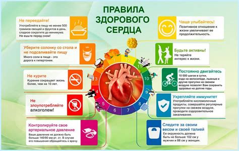 Секреты энергичного образа жизни: основные принципы и рекомендации