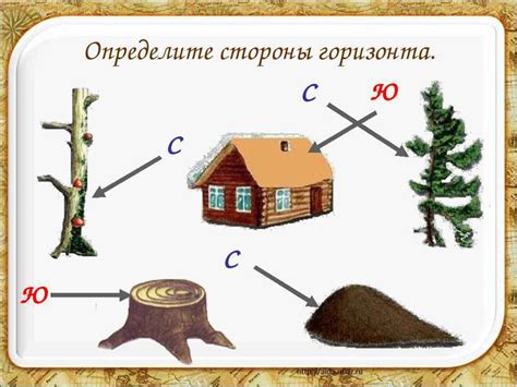 Сельское хозяйство и определение сторон горизонта