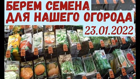 Семена для нашего огорода: замена горчице