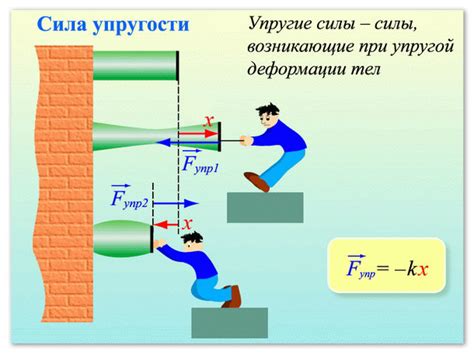 Сила упругости: основные понятия и принципы