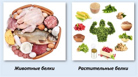 Символизм продукта животного происхождения в сновидениях и его возможные интерпретации