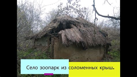 Символизм сельских элементов в сновидениях: от дымков до соломенных крыш