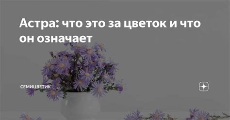 Символика алого цветка в различных культурах