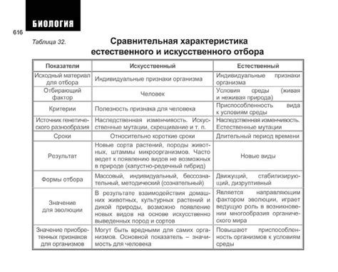 Символика искусственного и естественного тумана