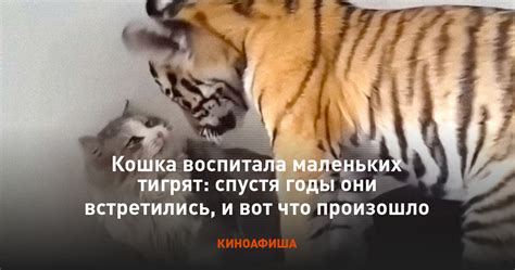 Символика маленьких тигрят в сновидениях: отражение силы и смелости