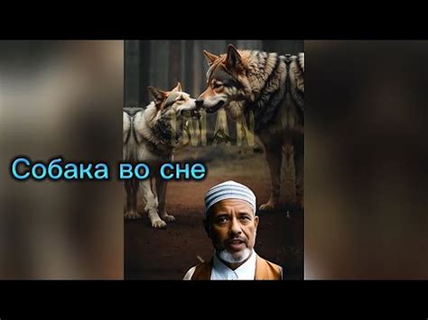 Символика платка: разгадайте значимость сна