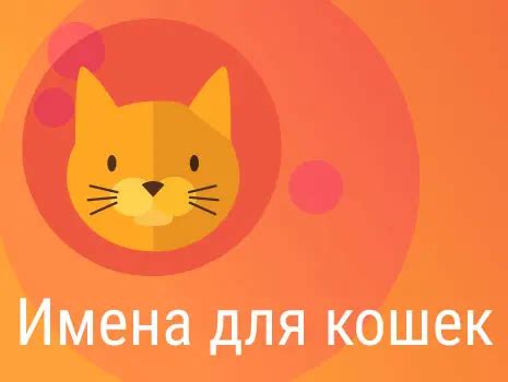 Символика сна: изгнание маленьких кошек из жилища