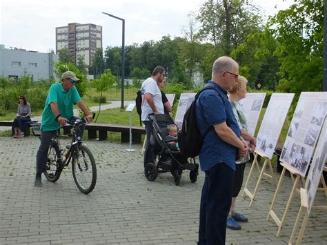 Символика сна о водной локве на городской артерии: интерпретация и значение