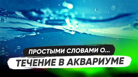 Символика снов о течении воды с потолка