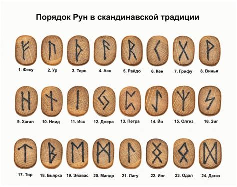 Символика снов с упоминанием вшей: толкование и значение