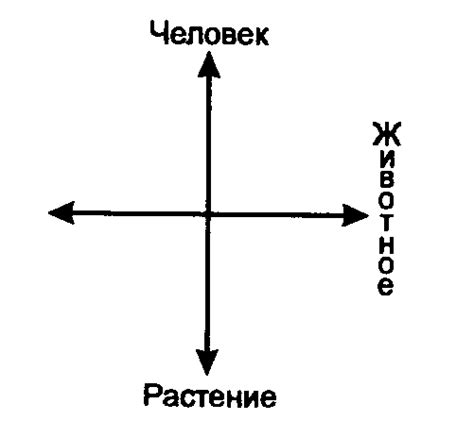 Символическое выражение близости и стабильности