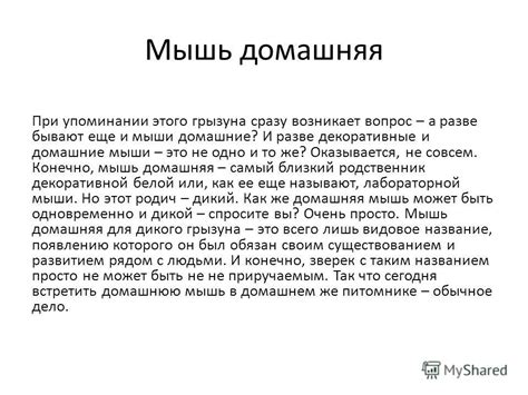 Символическое значение белой грызуна: благополучие или предупреждение?