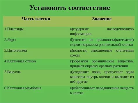 Символическое значение массивного скопления растительной отходной продукции