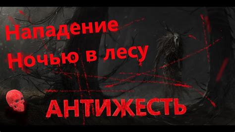 Символическое значение мечтаний о прекрасном существо в лесу