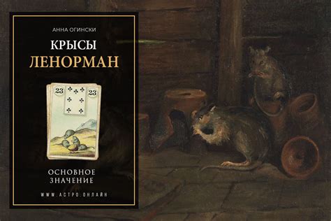 Символическое значение пробежавшей мимо крысы в сновидении: отрицательный подтекст