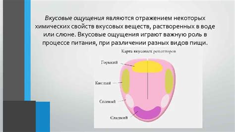 Символическое значение различных продуктов во снах: передача через вкусовые ощущения