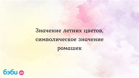 Символическое значение ромашек во сне