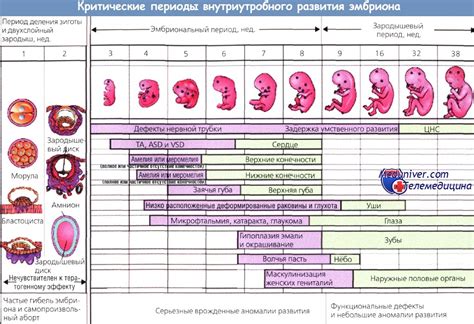 Символическое значение сновидения о рождении девочки у беременной знакомой