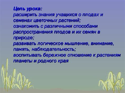 Символическое значение ярких плодов, привязанных к живым растениям