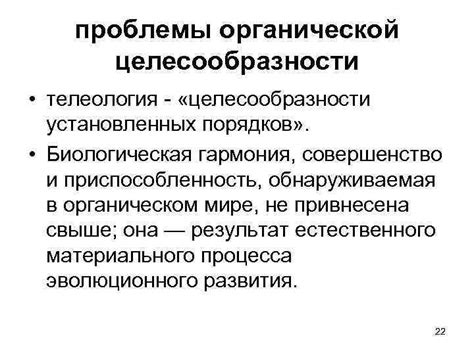 Символическое понимание нарушения установленных норм и порядков