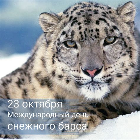 Символ благородства и высокого статуса: тайное значение снов, где многочисленные жемчужины на шее