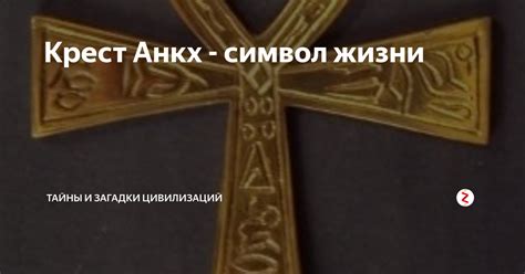 Символ тайны и загадки в сновидении представляет сова: уникальная интерпретация женского понимания юмора